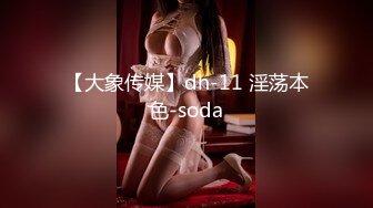 【大象传媒】dh-11 淫荡本色-soda