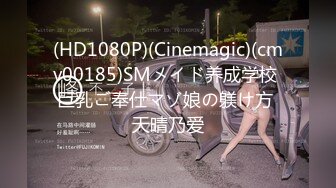 (HD1080P)(Cinemagic)(cmv00185)SMメイド养成学校 巨乳ご奉仕マゾ娘の躾け方 天晴乃爱