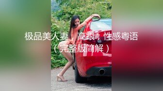 极品美人妻，高跟，性感粤语（完整版简解）