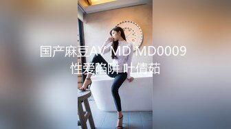 国产麻豆AV MD MD0009 性爱陷阱 叶倩茹