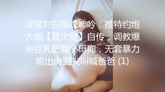 淫荡对白销魂呻吟，推特约炮大咖【夏次健】自传，调教爆肏巨乳肥臀小母狗，无套暴力输出肏到尖叫喊爸爸 (1)