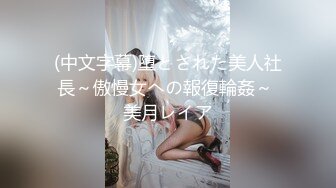 (中文字幕)堕とされた美人社長～傲慢女への報復輪姦～ 美月レイア