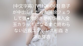 (中文字幕) [VENX-068] 息子が中出ししたらお掃除フェラして強●勃起させ再び挿入金玉カラッポになるまで終わらない近親エンドレス相姦 さつき芽衣