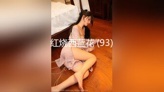 红烧西蓝花 (93)