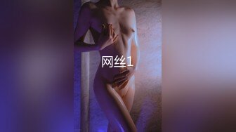 网丝1