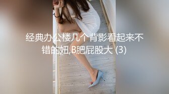 经典办公楼几个背影看起来不错的妞,B肥屁股大 (3)