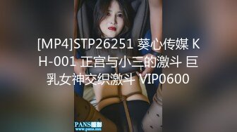 [MP4]STP26251 葵心传媒 KH-001 正宫与小三的激斗 巨乳女神交织激斗 VIP0600