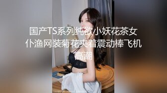 国产TS系列纯欲小妖花茶女仆渔网装菊花夹着震动棒飞机高潮