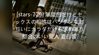 [stars-729] 無愛想だけどセックスの相性はバツグンなお互いにカラダだけを求めあう都合のいい愛人 夏目響