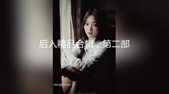 后入精品合辑，第二部