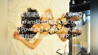 《宅男硬核重磅》万人求档OnlyFans极品高颜大奶Coser【Powrice】付费订阅大量不雅自拍视图流出877P  (2)