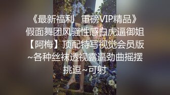 《最新福利✿重磅VIP精品》假面舞团风骚性感白虎逼御姐【阿梅】顶配特写视觉会员版~各种丝袜透视露逼劲曲摇摆挑逗~可射