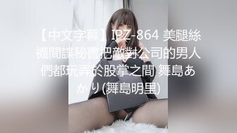 【中文字幕】IPZ-864 美腿絲襪間諜秘書把敵對公司的男人們都玩弄於股掌之間 舞島あかり(舞島明里)