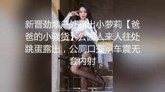 新晋劲爆户外露出小萝莉【爸爸的小骚货】公园人来人往处跳蛋露出，公厕口交，车震无套内射