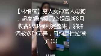 【林绾绾】穷人女神富人母狗，超高颜值极品空姐最新8月收费SVIP福利完整集，啪啪调教多种玩弄，母狗属性拉满了 (1)