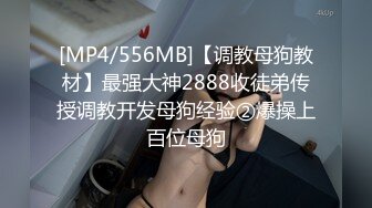 [MP4/556MB]【调教母狗教材】最强大神2888收徒弟传授调教开发母狗经验②爆操上百位母狗